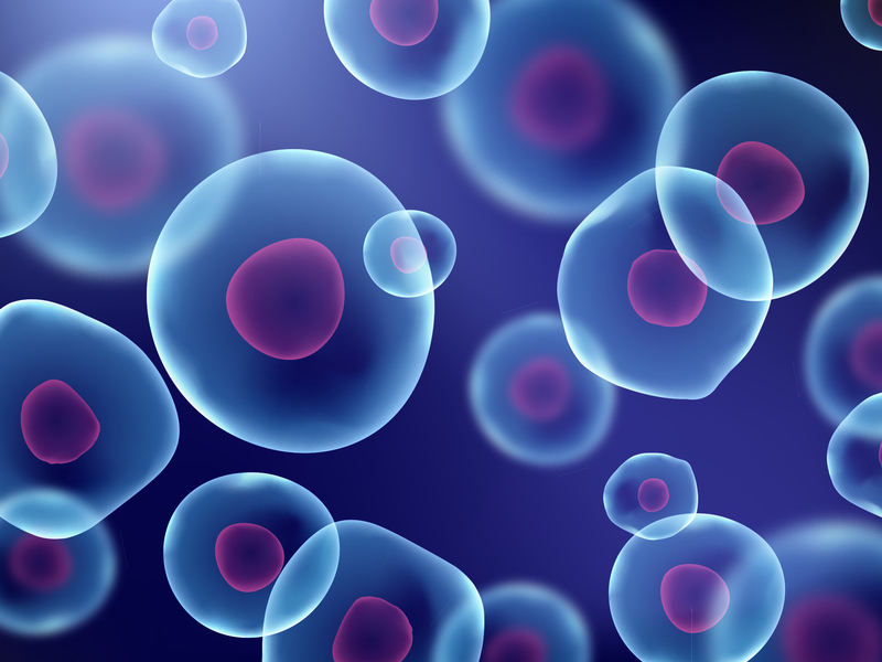 Imagem demonstrativa