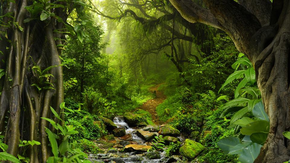 Imagem demonstrativa