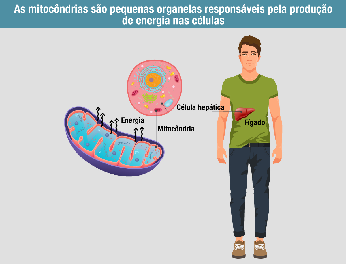 Imagem demonstrativa